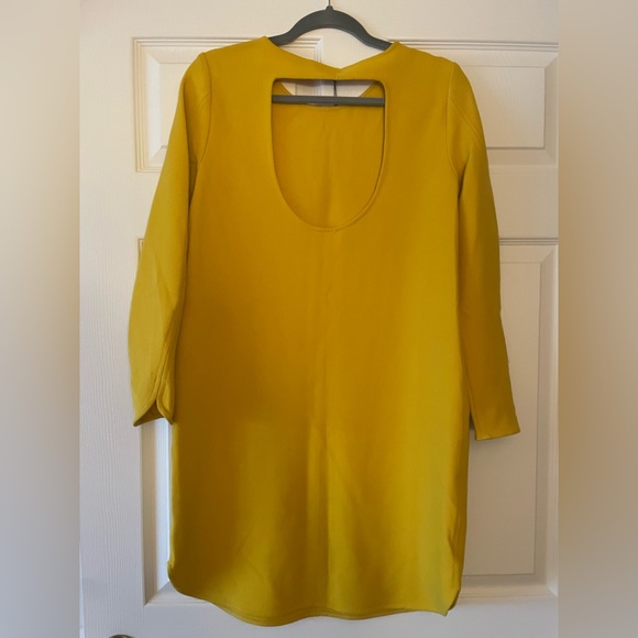Zara shift dress. Size: M (never worn with tags). Well made. Beautiful color. - Picture 5 of 5